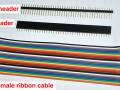 headers-and-ribbon